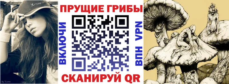 купить наркотики сайты  мега tor  Галлюциногенные грибы Psilocybine cubensis  Клин 